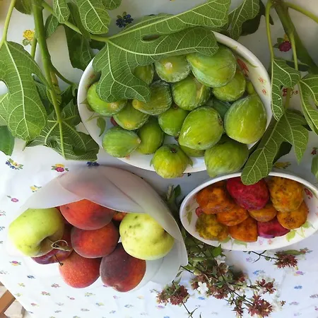 לינה וארוחת בוקר Le Grotte Di Notar קסטלאנה גרוטה