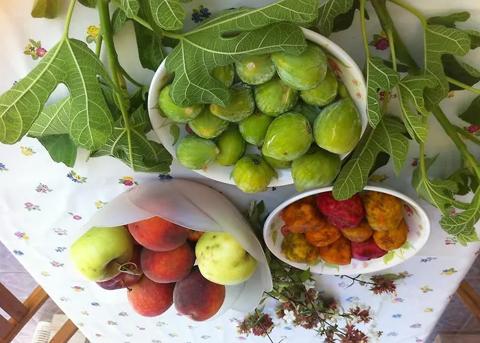Frühstückspension Le Grotte Di Notar Castellana Grotte