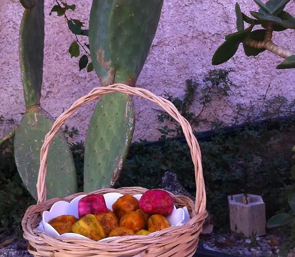 Bed and breakfast Le Grotte Di Notar 3*