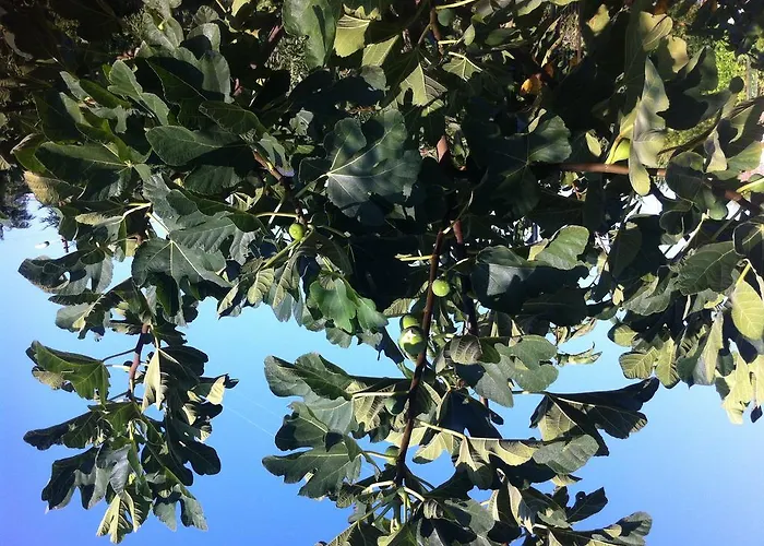 Bed & Breakfast Le Grotte Di Notar 3*